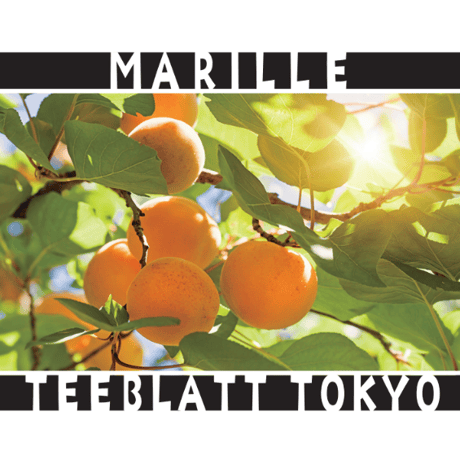 【TEEBLATT TOKYO】 MARILLE（アプリコット）【TeaBag10個 】