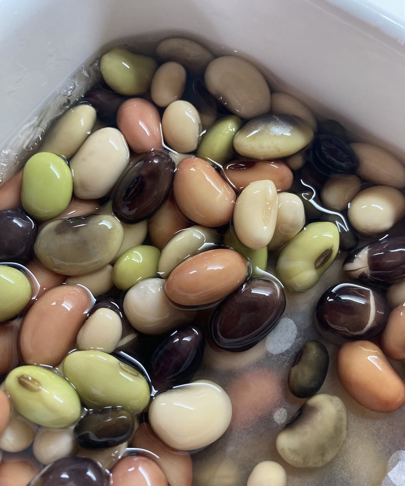 大豆 錦白大豆 300g｜丹波黒大豆の小田垣商店 | 公式オンラインショップ
