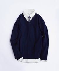 #015 Life is Basic The Vneck Sweater [ For Men ]　LB15030352