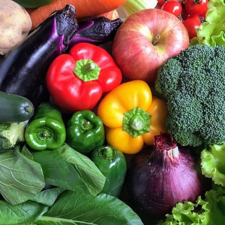 【えざね】旬野菜　詰め合わせ　お試しセット　Fresh Vegetables Box