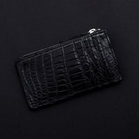 Crocodile fragment case