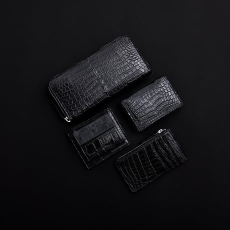 Crocodile fragment case
