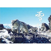 【写真集】神の獣 雪豹 ―The Eidolon, Snow Leopard―