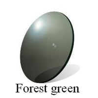 【RATRS Forest Green】色調変化を抑えたクラシカルなフォレストグリーンサングラス