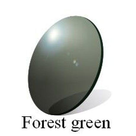 【RATRS Forest Green】色調変化を抑えたクラシカルなフォレストグリーンサングラス