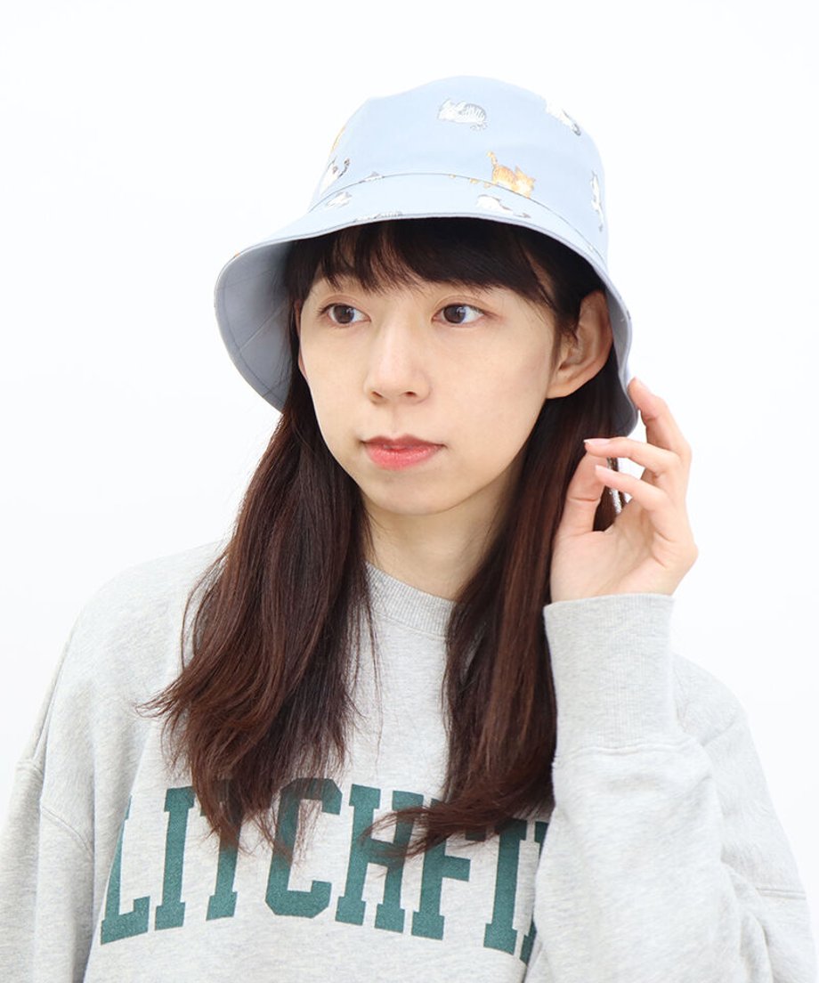 62133db8dd8d3918c4478d19