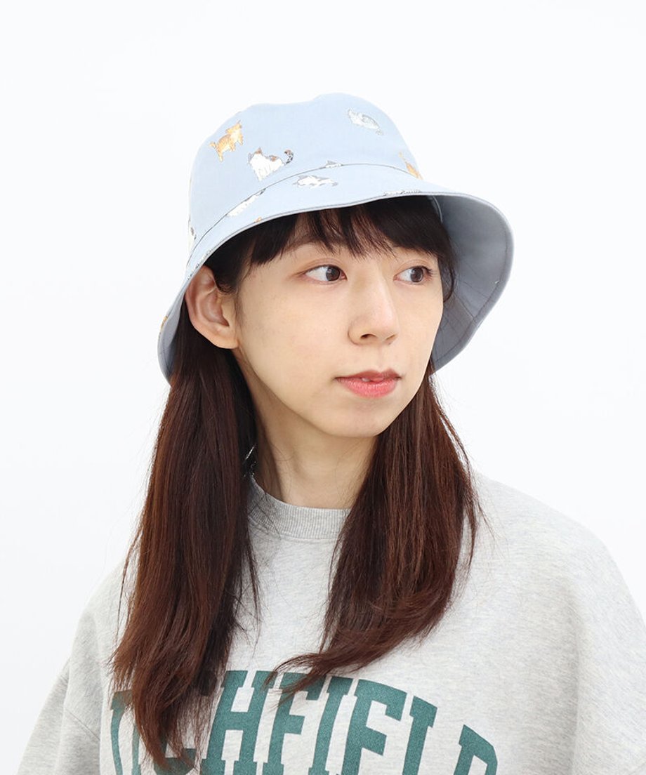 62133db8dd8d3918c4478d19