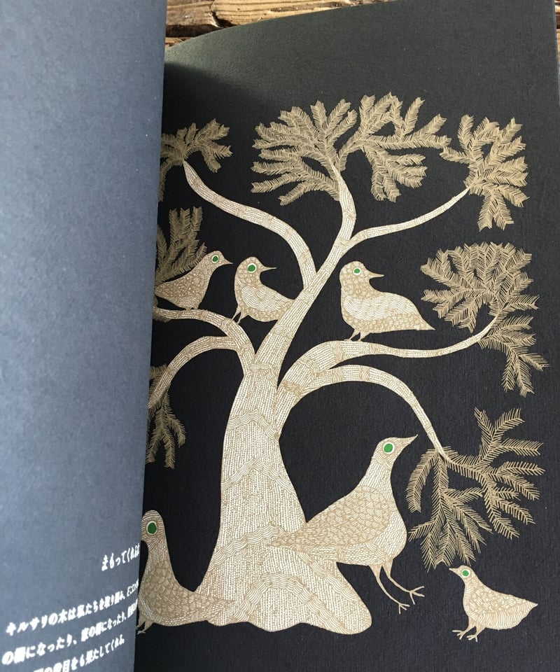 夜の木 第13刷 | 奇妙な植物園