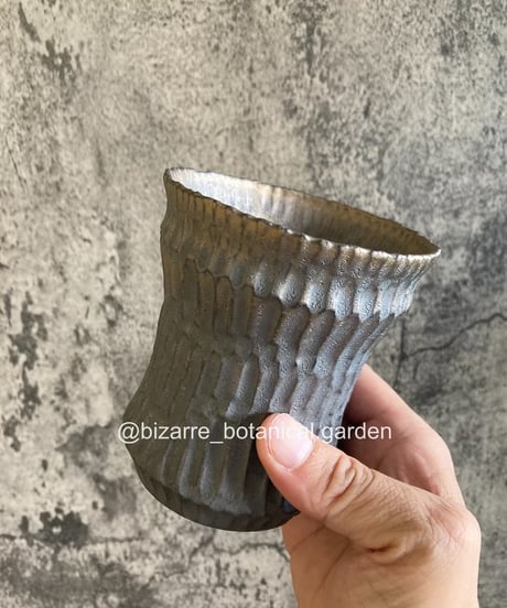 ❣特別出品 極上木製漆 絵替季節の花蒔絵 デミタス6客セット スプーン付 作家 増山文 輪花絵皿 6寸 鳥とふた葉｜作家もののうつわ通販