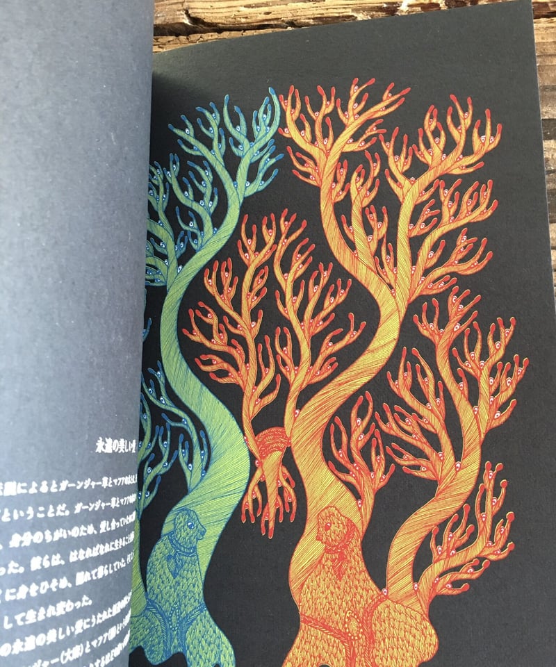 夜の木 第13刷 | 奇妙な植物園