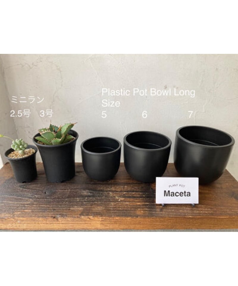 Maceta【Plastic Pot Bowl Long】Size6 1鉢 | 奇妙な植物園
