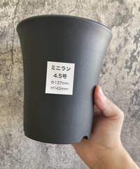 ミニラン鉢　4.5号
