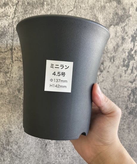 ITEM | 奇妙な植物園
