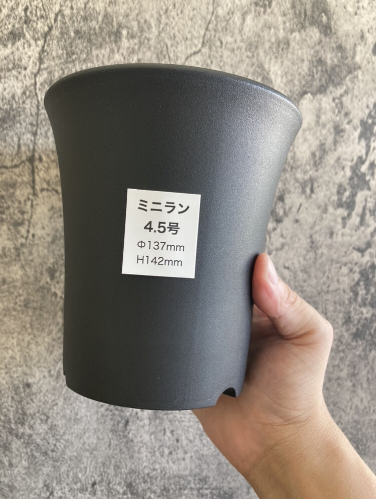 らんらん Zurn ZN211-5BE - Floor Drain w/ 4