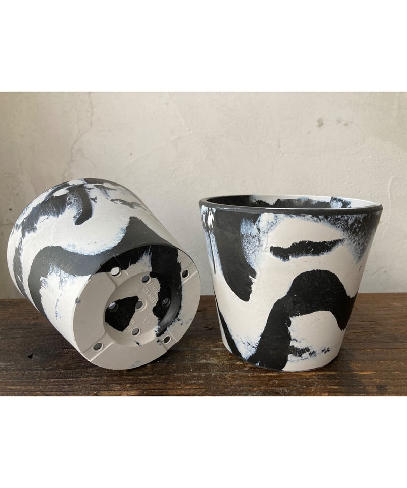 marvista ミルクL 1鉢 | 奇妙な植物園