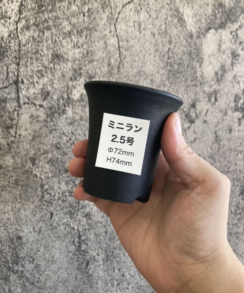 ミニラン鉢 2.5号 | 奇妙な植物園