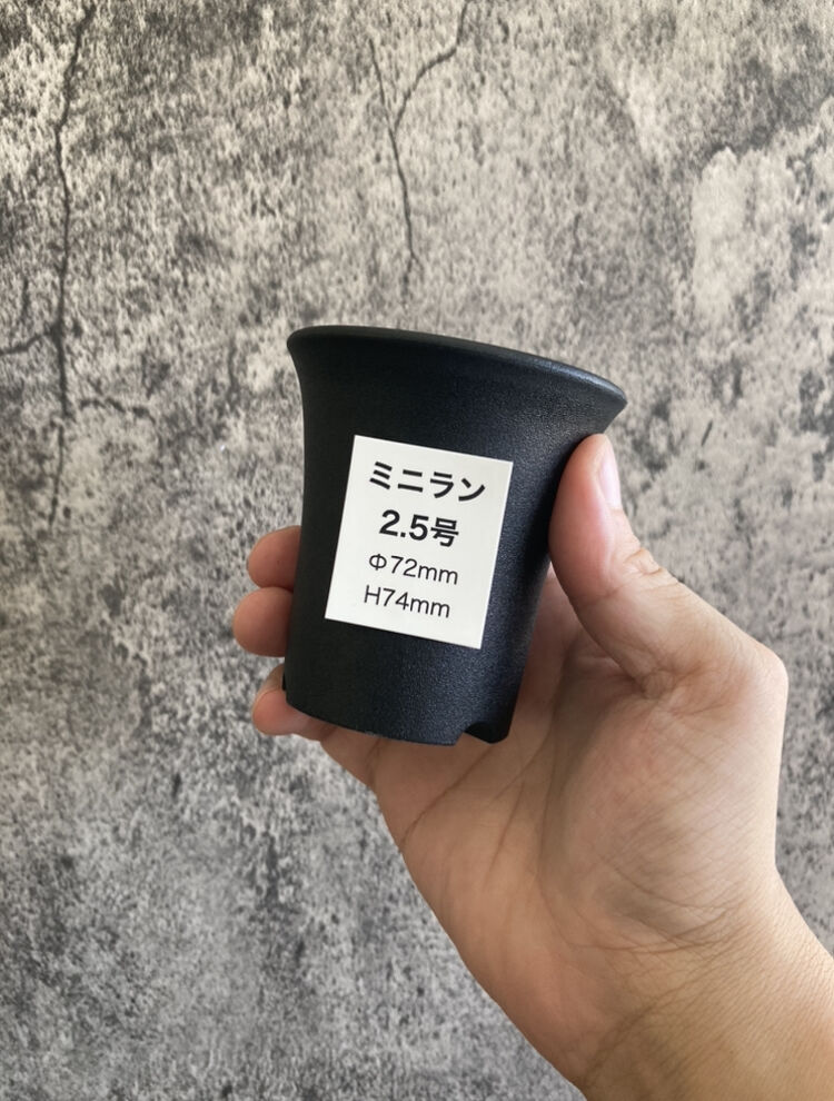 ミニラン鉢 2.5号 | 奇妙な植物園