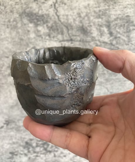 CATEGORY original pot | 奇妙な植物園