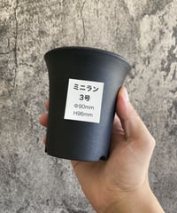 ミニラン鉢　3号