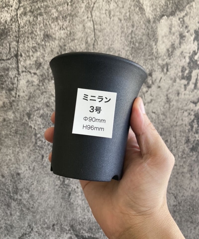 パリ限定【マラン・モンタギュ】ハート柄 ミニ深皿 パリ限定【マラン・モンタギュ】ハート柄 ミニ深皿 2025年最新