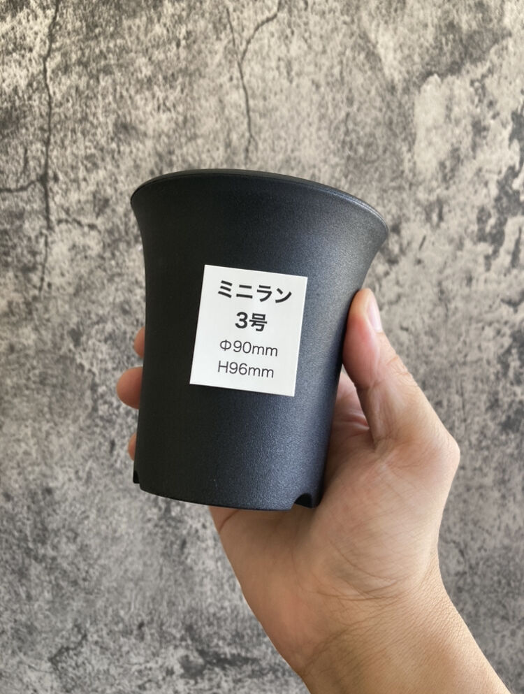 ミニラン鉢 3号 | 奇妙な植物園 ミニラン鉢 3号 | 奇妙な植物園