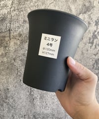 ミニラン鉢　4号