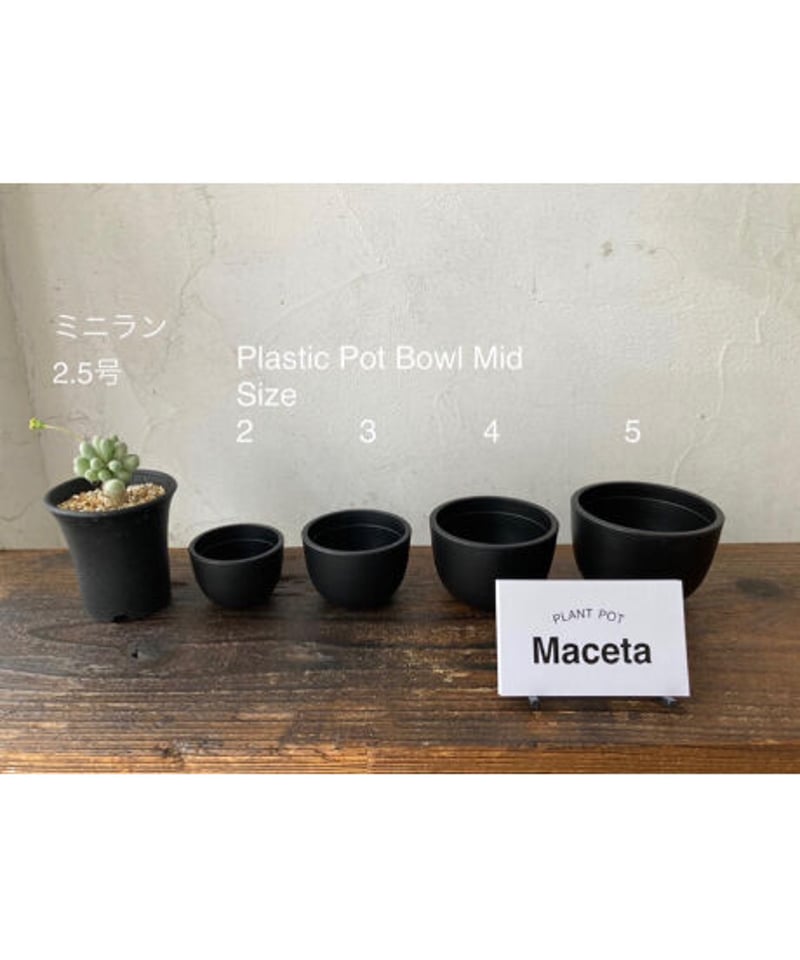 Maceta【Plastic Pot Bowl Mid】Size3 1鉢 | 奇妙な植物園 Maceta【Plastic Pot Bowl Mid】Size3 1鉢 | 奇妙な植物園