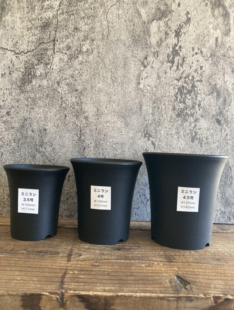 蘭鉢　落鑑有り ミニラン鉢 4号 多肉植物 ラン プラスチック 鉢×10個 | チャーム