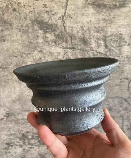鉢　特殊なオリジナル鉢 CATEGORY original pot | 奇妙な植物園