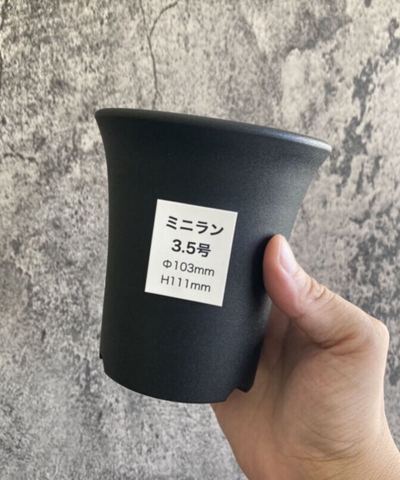 ミニラン鉢 3.5号 | 奇妙な植物園