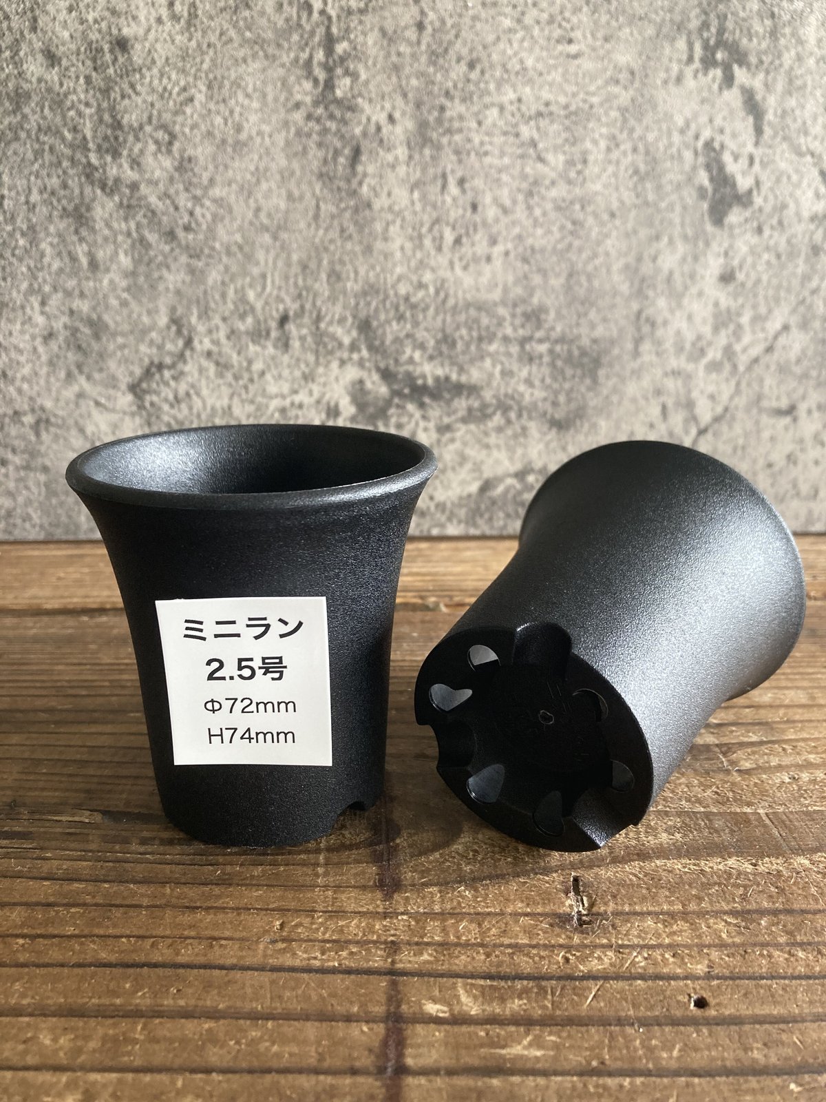 ミニラン鉢 2.5号 | 奇妙な植物園