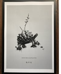 亀甲竜　ポスター