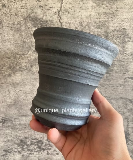 CATEGORY original pot | 奇妙な植物園