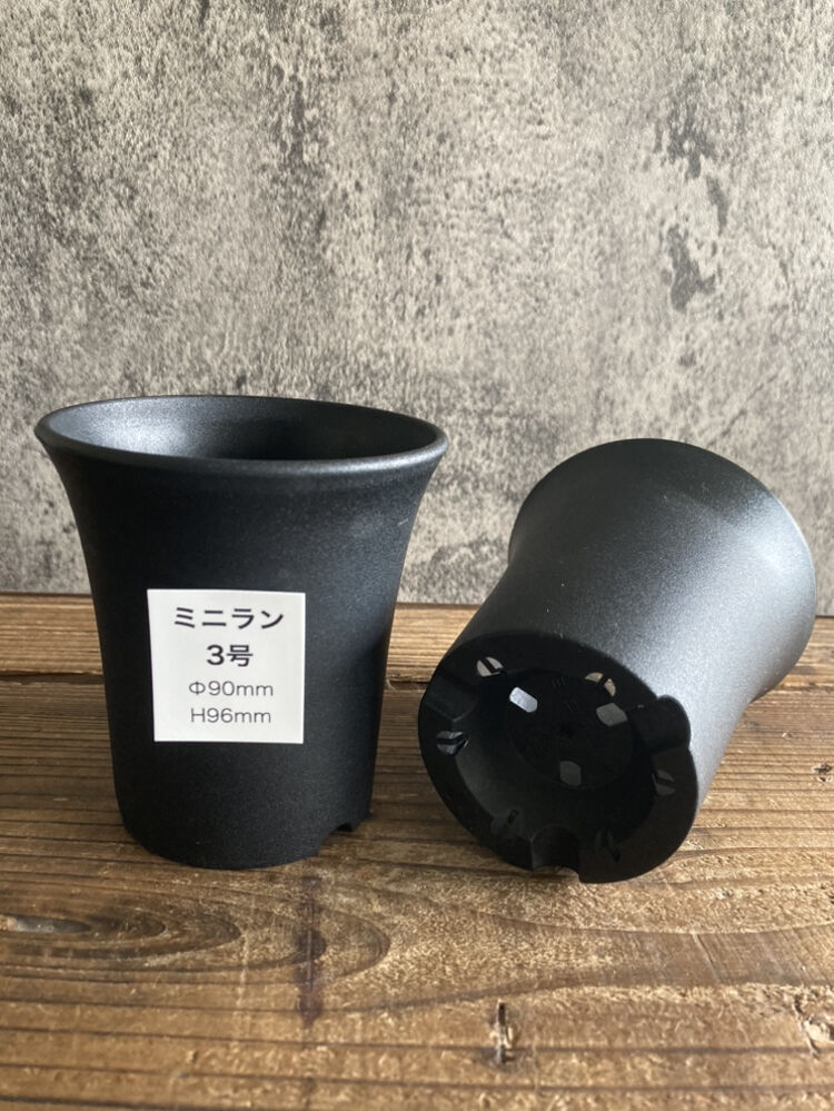 三ッ鉢 ミニラン鉢 3号 | 奇妙な植物園
