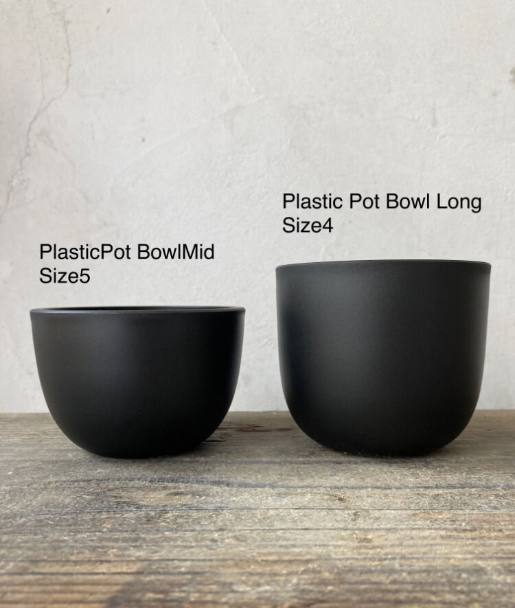 Maseta【Plastic Pot Bowl Long】Size4 1鉢 | 奇妙な植物園