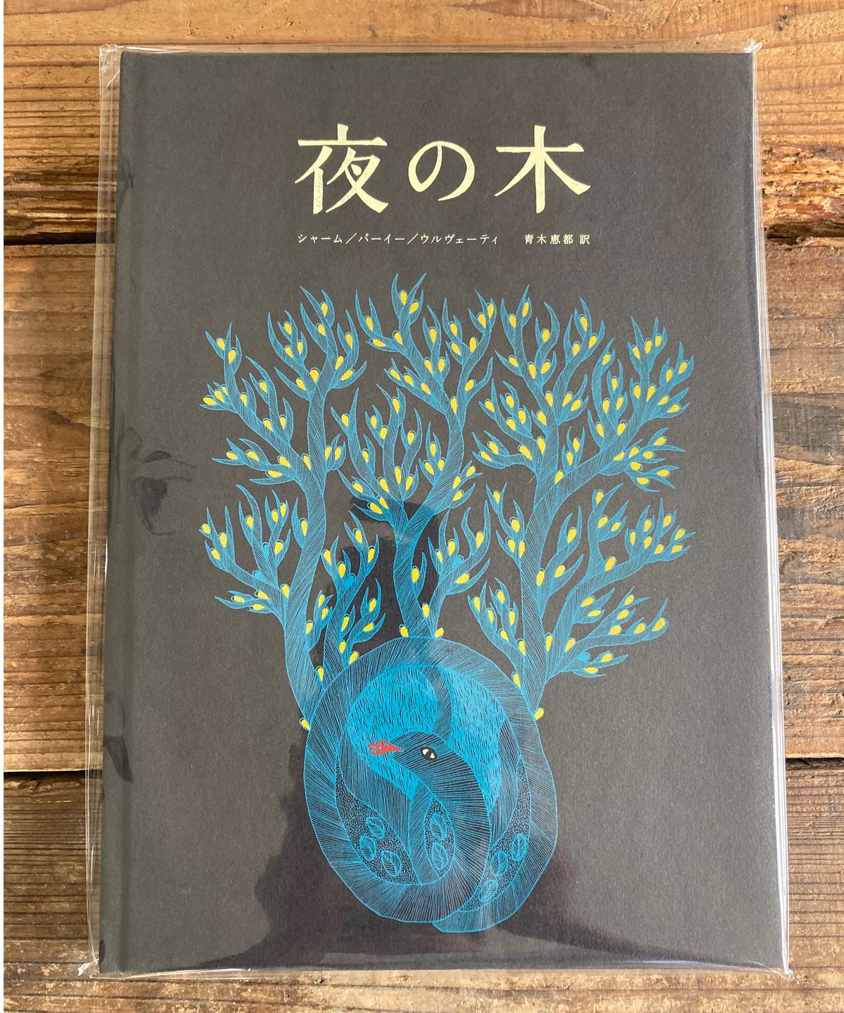 夜の木 第13刷 | 奇妙な植物園