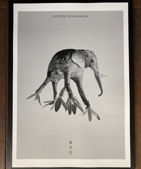 象牙宮　ポスター