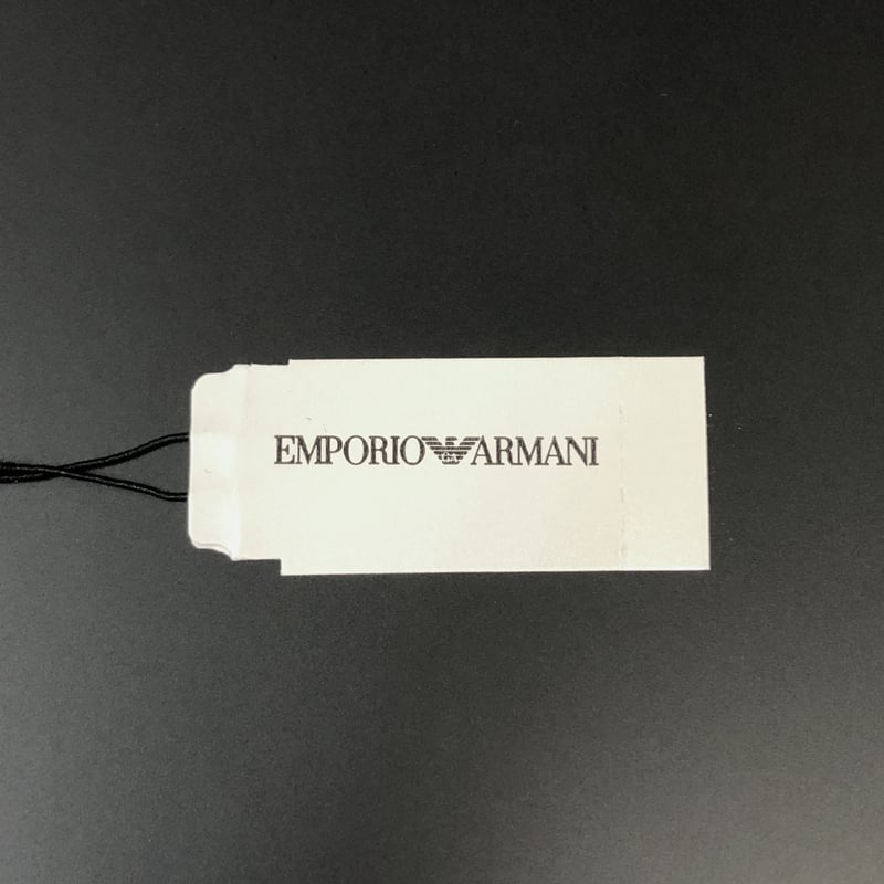 EMPORIO ARMANI (エンポリオ アルマーニ) ダブルプレート ネックレス