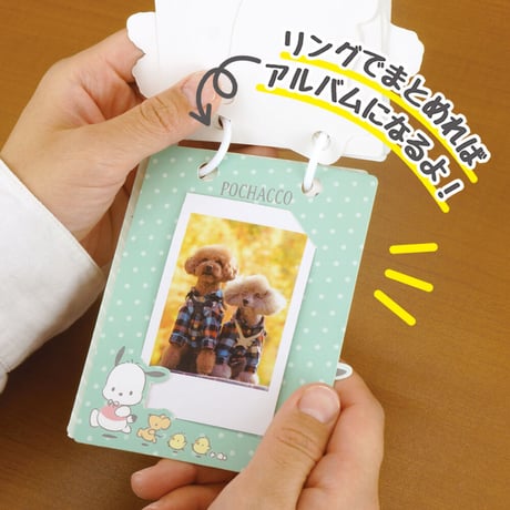 【送料込み】サンリオ　ポチャッコ　写真が入る♪アルバムガーランドM（チェキサイズ）【完売】