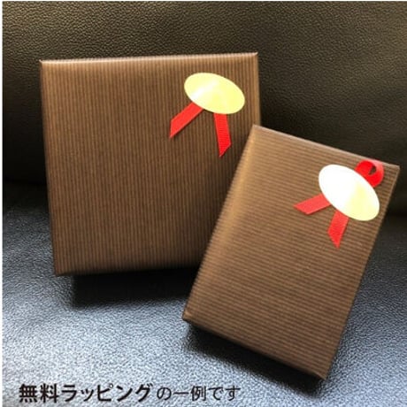 EMPORIO ARMANI (エンポリオ アルマーニ) プレート ネックレス EGS1726040【完売】