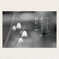 優和恵ポストカード