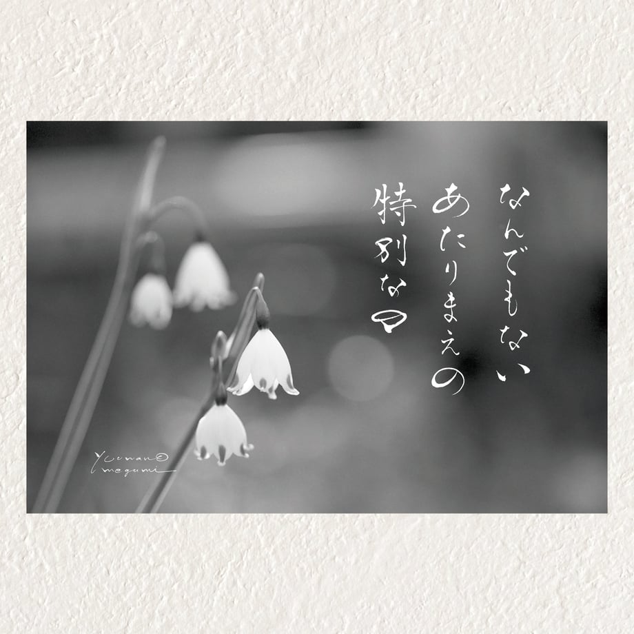 665a0cfe6891191b436a33a6