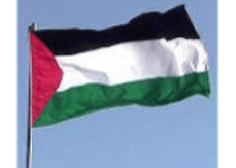 🇵🇸FreePalestine🍉PierceEarrings