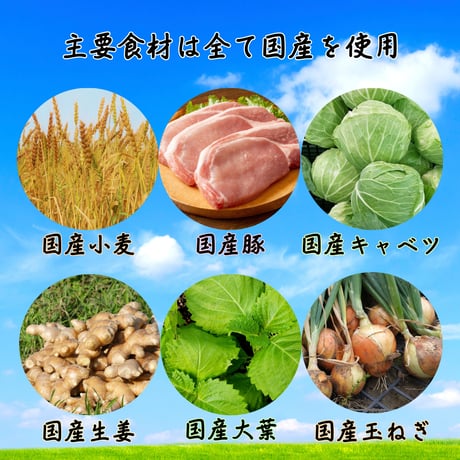 大葉餃子Sパック
