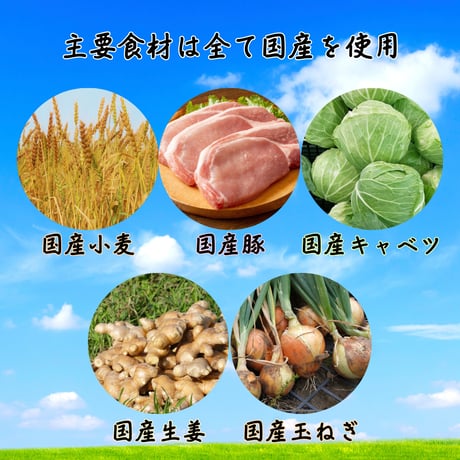 生姜餃子Sパック