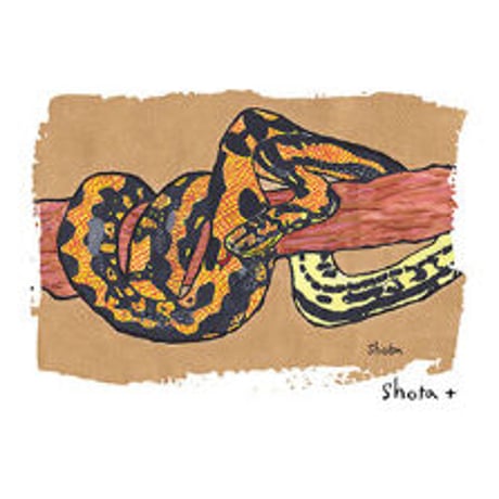 キャンバスアート（L）ジャングルカーペットニシキヘビ