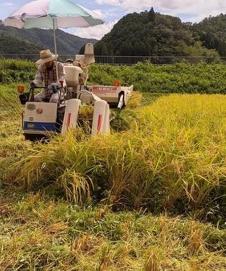 有機肥料・無農薬栽培米 令和5年(2023)産 コシヒカリ 玄米 5kg