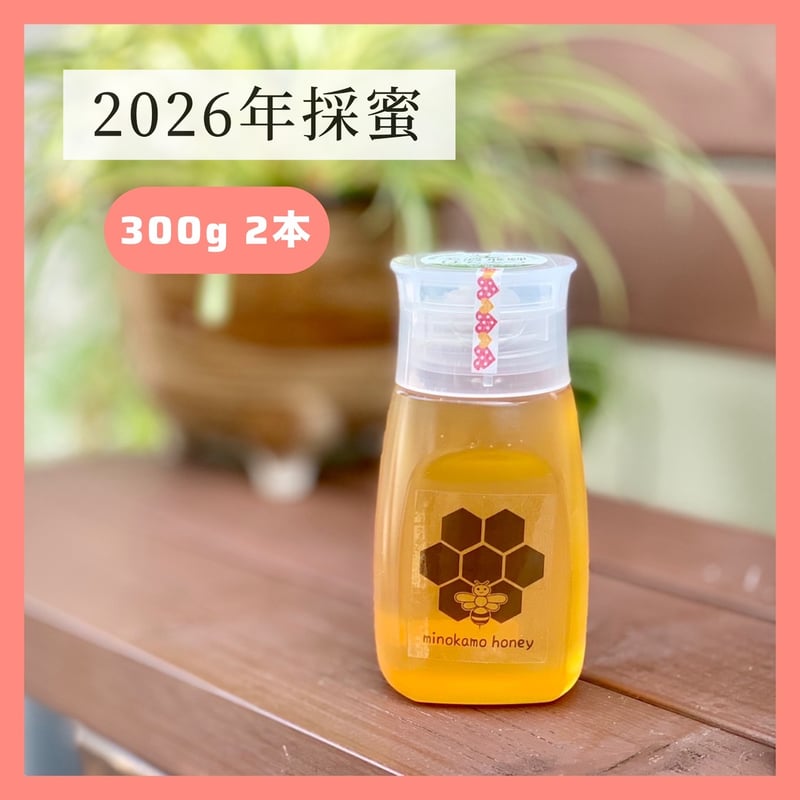 MINOKAMO HONEY 300g 2本 | 藤井養蜂
