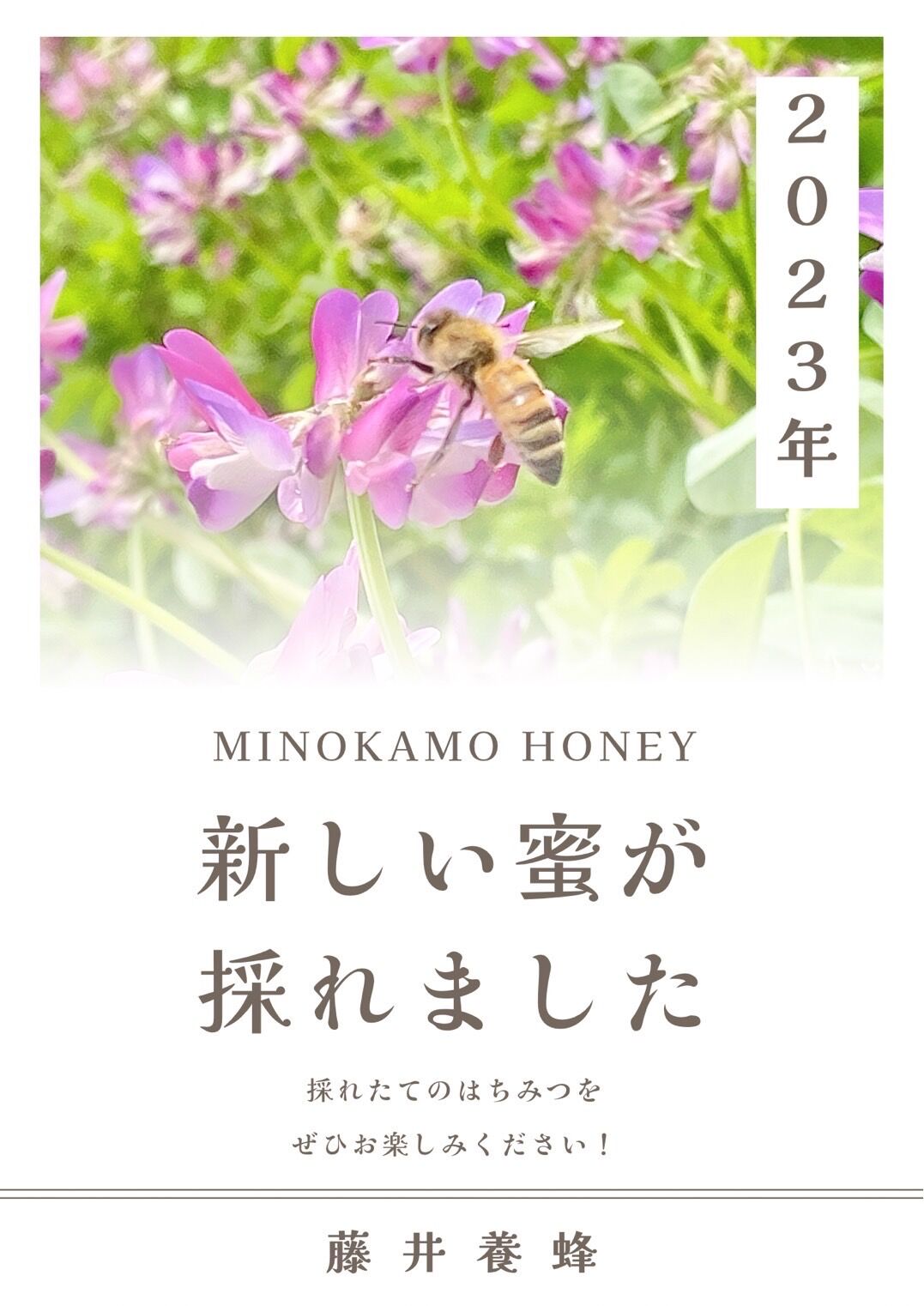 Kumamitu さん専用 日本蜜蜂の蜂蜜 岐阜県奥美濃産 550g 天然蜂蜜 - 調味料