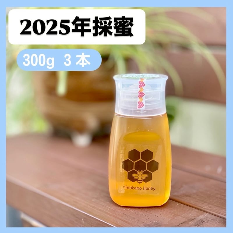 MINOKAMO HONEY 300g 3本 | 藤井養蜂